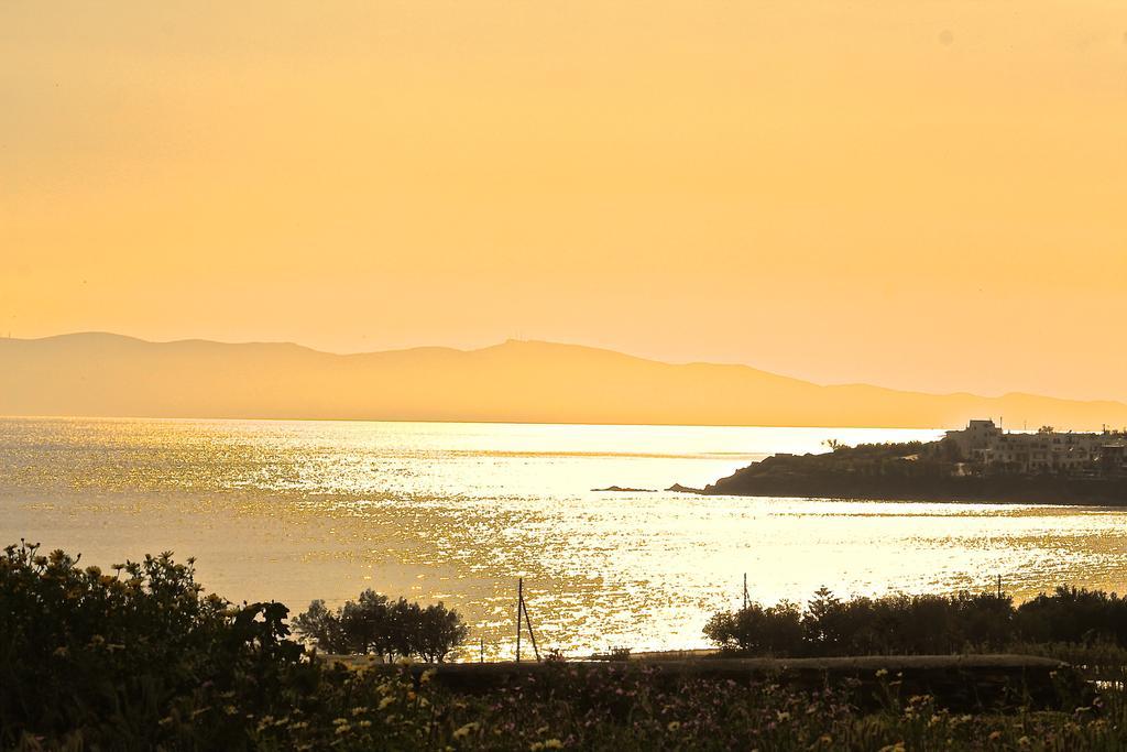 Akrotiraki Villas Tinos Exterior photo